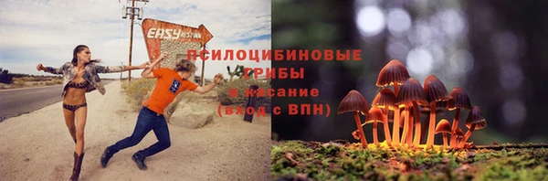дурь Алзамай