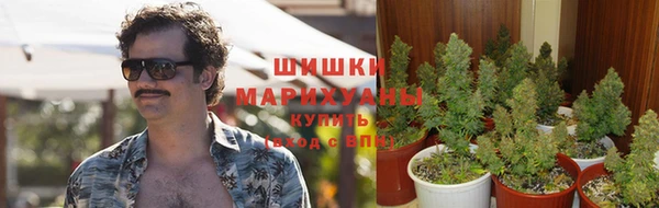 ALPHA-PVP Алексеевка
