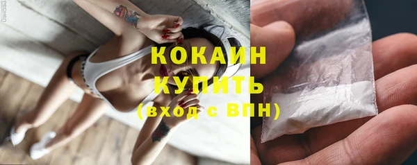 тгк Алексин