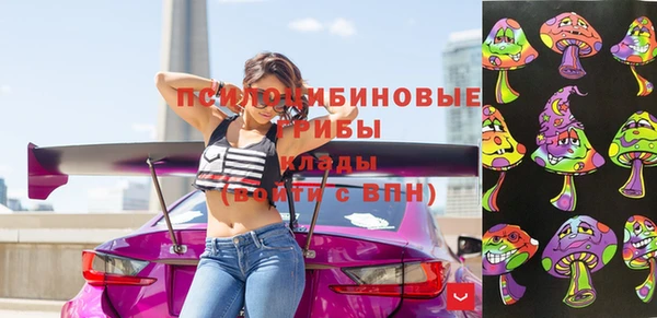 дурь Алзамай
