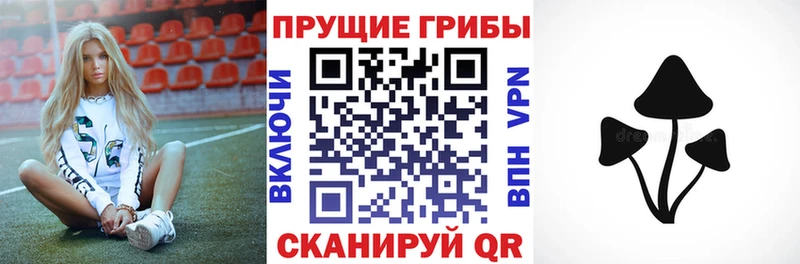 даркнет сайт  Лермонтов  Галлюциногенные грибы мицелий 